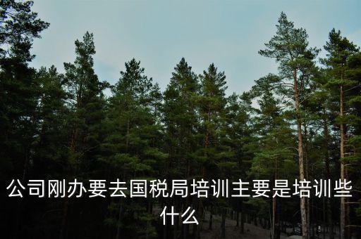 公司剛辦要去國稅局培訓主要是培訓些什么