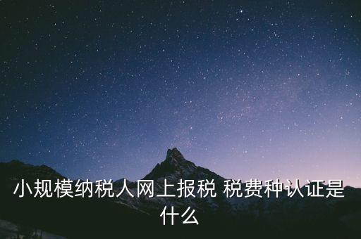 小規(guī)模納稅人網(wǎng)上報(bào)稅 稅費(fèi)種認(rèn)證是什么