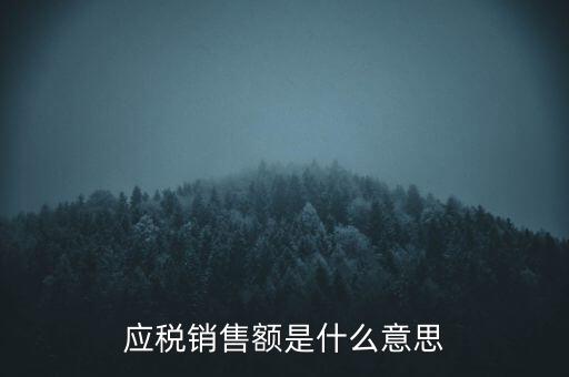 應稅銷售額是什么意思