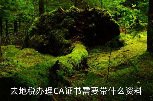 地稅局ca證書是什么，去地稅辦理CA證書需要帶什么資料