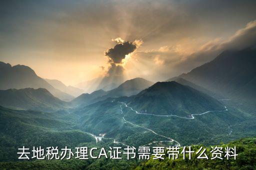 地稅ca帶什么，去地稅簽三方協(xié)議需要以下東西第四個CA是什么意思啊