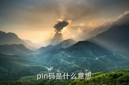 pin碼是什么意思