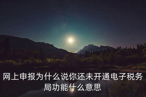 電子稅務(wù)局是干什么，企業(yè)金稅盤(pán)系統(tǒng)用來(lái)開(kāi)票抄稅報(bào)稅用那登錄國(guó)稅地稅局網(wǎng)站是干嘛的