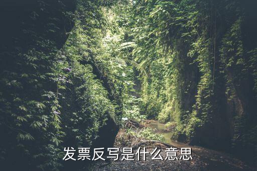 發(fā)票反寫是什么意思