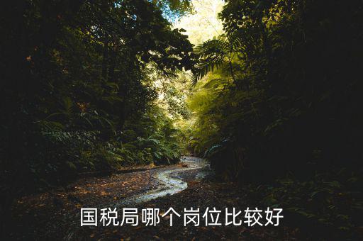 國稅局哪個(gè)崗位比較好