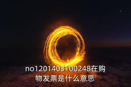 湖南發(fā)票號(hào)碼是什么意思，發(fā)票參考號(hào)是什么意思