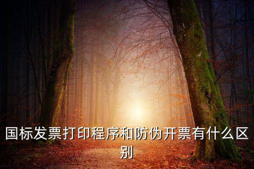 國標(biāo)發(fā)票打印程序和防偽開票有什么區(qū)別