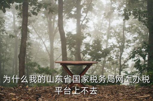 為什么我的山東省國家稅務(wù)局網(wǎng)上辦稅平臺上不去