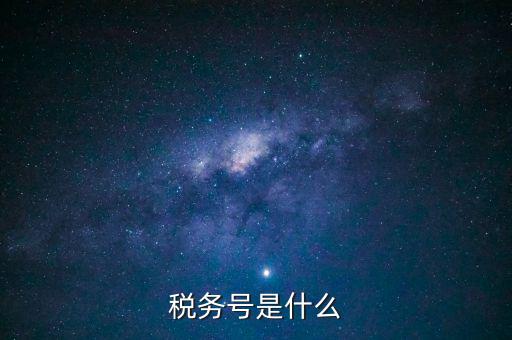 什么是稅務(wù)登記號，稅務(wù)號是什么