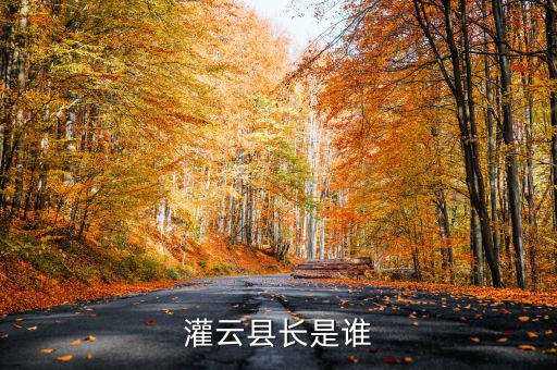 灌云國(guó)稅局局長(zhǎng)叫什么，國(guó)家稅務(wù)局局長(zhǎng)叫什么