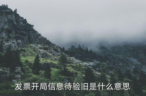 什么叫驗舊發(fā)票，發(fā)票驗舊是什么意思