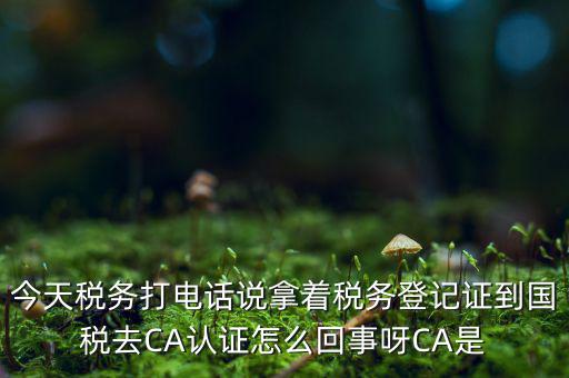 稅務(wù)局ca證書是什么，今天稅務(wù)打電話說拿著稅務(wù)登記證到國稅去CA認(rèn)證怎么回事呀CA是