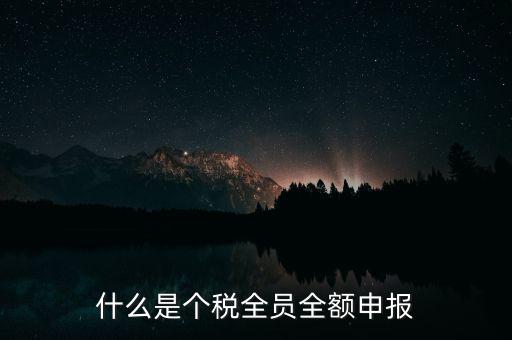 什么是個人所得稅全員管理單位，前輩請指點個人所得稅申報中全員全額是什么意思