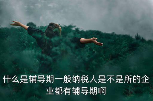 什么是輔導期一般納稅人是不是所的企業(yè)都有輔導期啊