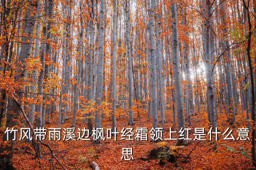 竹風帶雨溪邊楓葉經(jīng)霜領(lǐng)上紅是什么意思