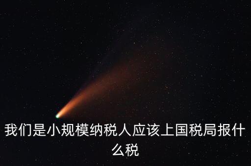 我們是小規(guī)模納稅人應該上國稅局報什么稅