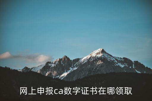 申報(bào)領(lǐng)取什么CA，財(cái)務(wù)報(bào)稅的ca通道是什么