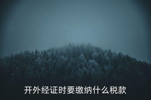 開外經(jīng)證時要繳納什么稅款