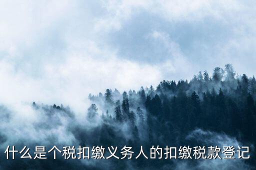 什么是個(gè)稅扣繳義務(wù)人的扣繳稅款登記