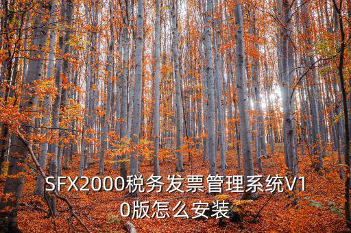 SFX2000稅務發(fā)票管理系統(tǒng)V10版怎么安裝