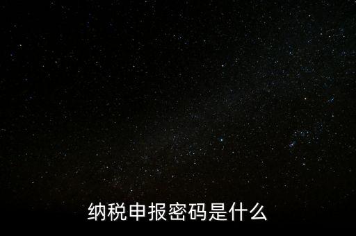 個人所得稅密碼是什么，填寫個人所得稅計算機代碼是什么