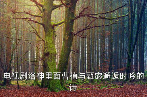 電視劇洛神里面曹植與甄宓邂逅時(shí)吟的詩(shī)