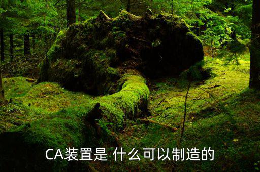 ca控件是什么，CA裝置是 什么可以制造的