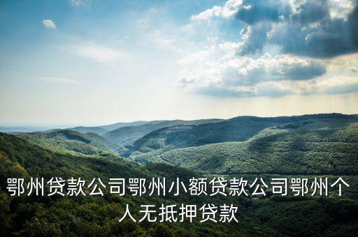 鄂州貸款公司鄂州小額貸款公司鄂州個(gè)人無抵押貸款