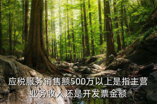 年銷售額500萬(wàn)是什么水平，應(yīng)稅服務(wù)銷售額500萬(wàn)以上是指主營(yíng)業(yè)務(wù)收入還是開(kāi)發(fā)票金額