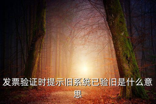 發(fā)票的驗舊時間是什么意思，發(fā)票驗證時提示舊系統(tǒng)已驗舊是什么意思