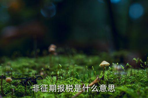 個稅申報不在征期什么意思，征期報稅和非征期報稅是什么意思