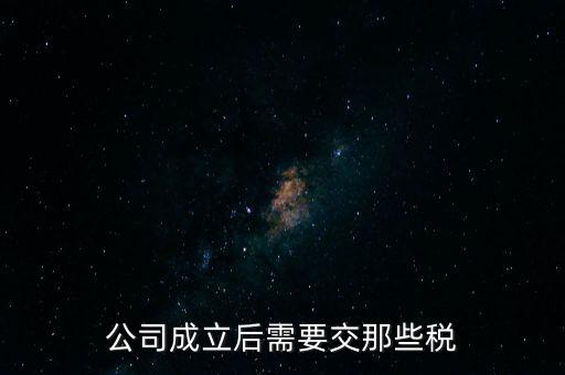 公司成立后需要交那些稅