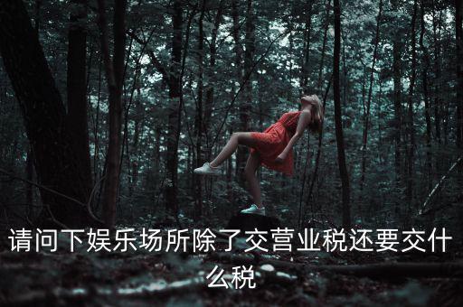 請(qǐng)問(wèn)下娛樂(lè)場(chǎng)所除了交營(yíng)業(yè)稅還要交什么稅