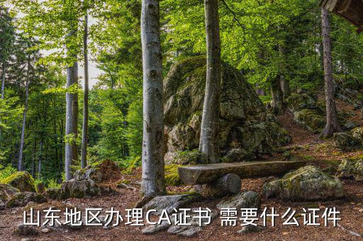 開通ca用什么資料，電子稅務(wù)局CA證書申請資料