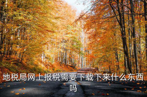 辦地稅都需要什么軟件，地稅網(wǎng)上申報軟件