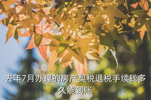 去年7月辦理的房產(chǎn)契稅退稅手續(xù)錢(qián)多久能到賬