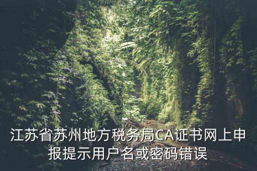 稅務(wù)ca用戶名是什么，江蘇省蘇州地方稅務(wù)局CA證書網(wǎng)上申報(bào)提示用戶名或密碼錯(cuò)誤