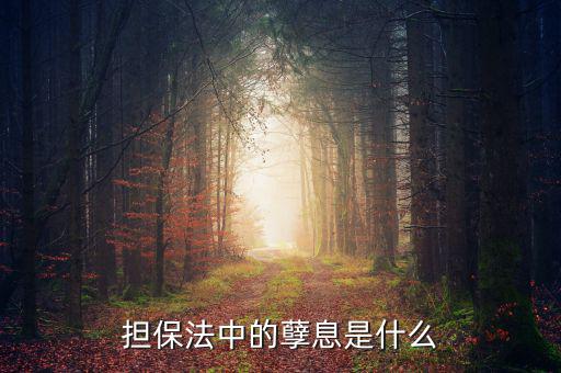 擔(dān)保法中的孽息是什么