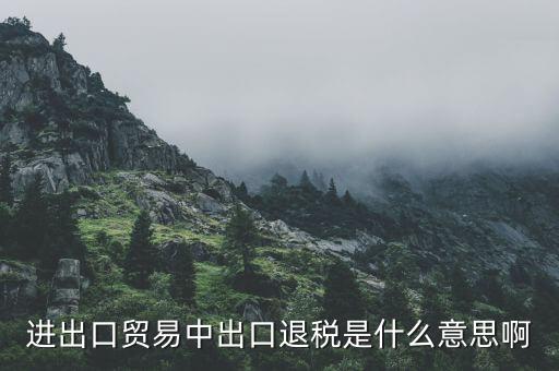 什么是增值稅出口退稅，出口退稅指的是什么