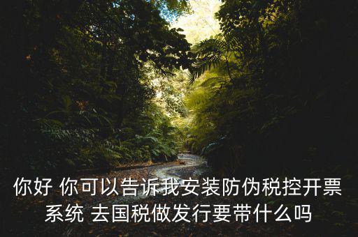 你好 你可以告訴我安裝防偽稅控開票系統(tǒng) 去國(guó)稅做發(fā)行要帶什么嗎