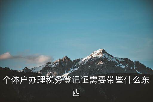 個體稅務(wù)登記證需要什么材料，個體戶辦理稅務(wù)登記證需要帶些什么東西