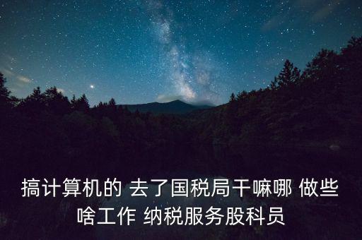 搞計算機的 去了國稅局干嘛哪 做些啥工作 納稅服務股科員