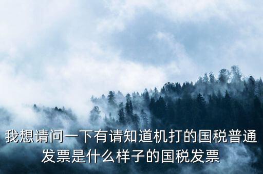 我想請(qǐng)問(wèn)一下有請(qǐng)知道機(jī)打的國(guó)稅普通發(fā)票是什么樣子的國(guó)稅發(fā)票