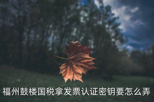 福州鼓樓國稅拿發(fā)票認(rèn)證密鑰要怎么弄