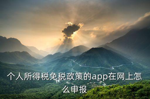 個人所得稅免稅政策的app在網(wǎng)上怎么申報(bào)