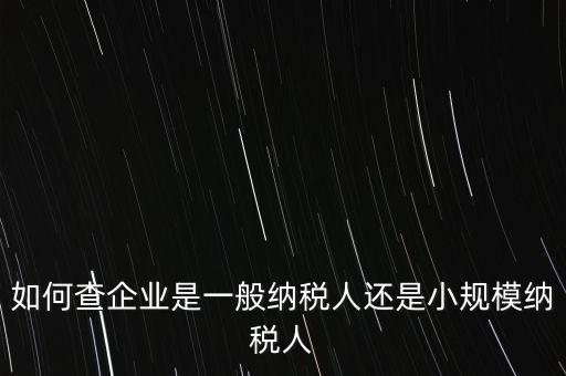 查詢公司什么納稅人，如何查企業(yè)是一般納稅人還是小規(guī)模納稅人