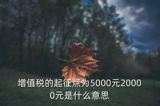 增值稅的起征點為5000元20000元是什么意思