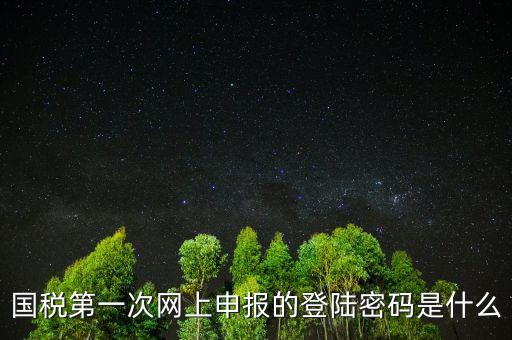 國稅登陸名和密碼是什么，國稅第一次網(wǎng)上申報(bào)的登陸密碼是什么