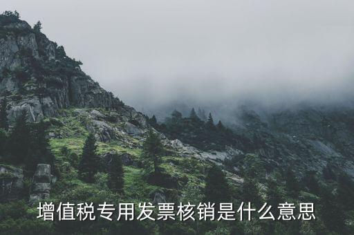 增值稅專用發(fā)票核銷是什么意思