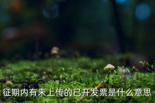 征期內(nèi)有未上傳的已開(kāi)發(fā)票是什么意思